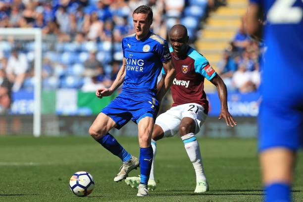 达斯因小蜘 达斯因小蜘